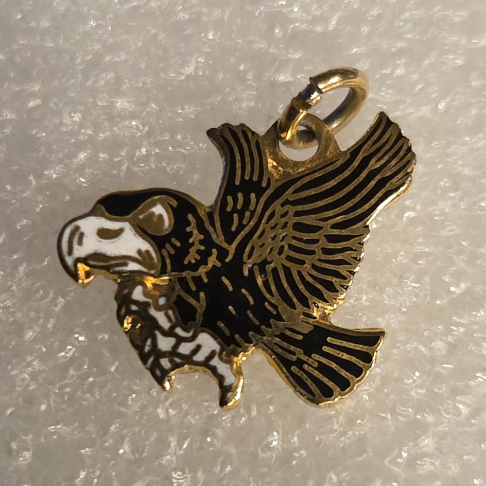 Iowa Hawkeyes Herky the Hawk Enamel Charm Pendant Black Gold University of Iowa